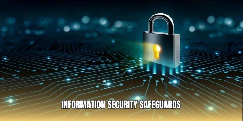 Information security safeguards