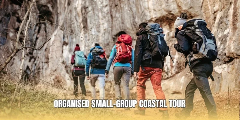 Organised small-group coastal tour