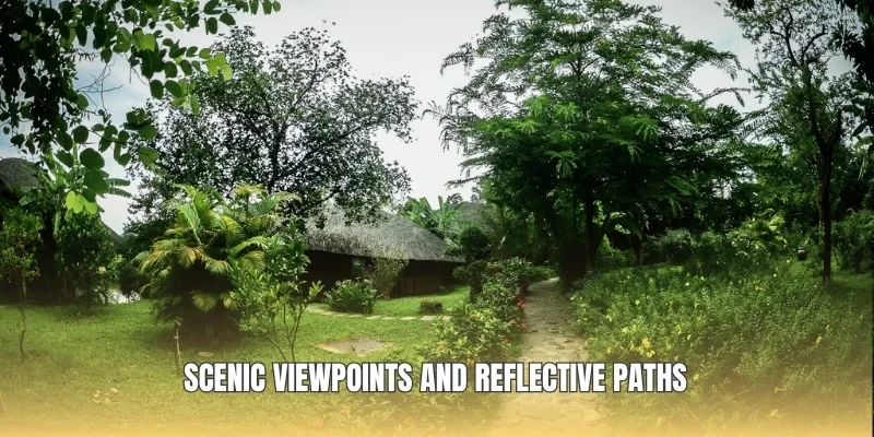 Scenic viewpoints and reflective paths