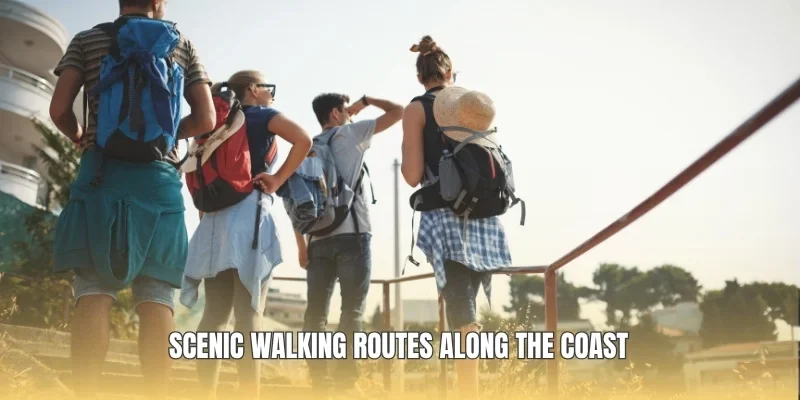 Scenic walking routes along the coast