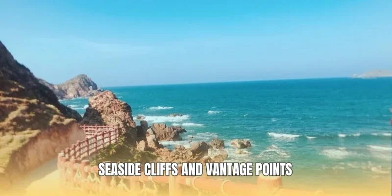 Seaside cliffs and vantage points