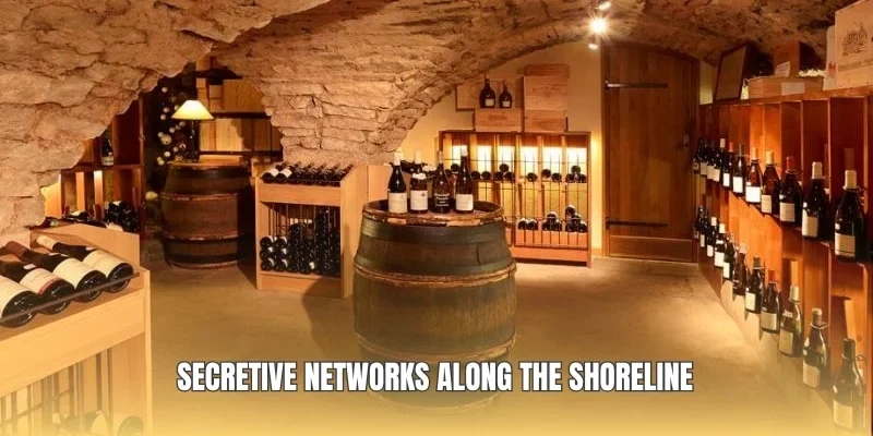 Secretive networks along the shoreline